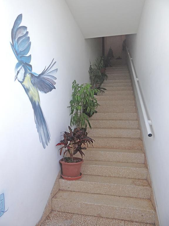 Apartamentos Dominguez Калера Экстерьер фото